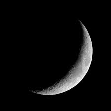 logo shop moon